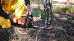 Best Aeration Services  in Hopewell, TN