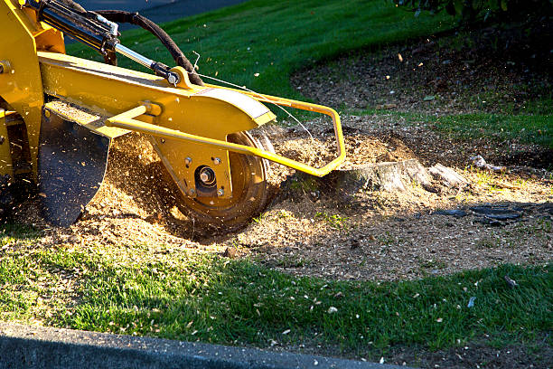 Best Artificial Turf Installation  in Hopewell, TN